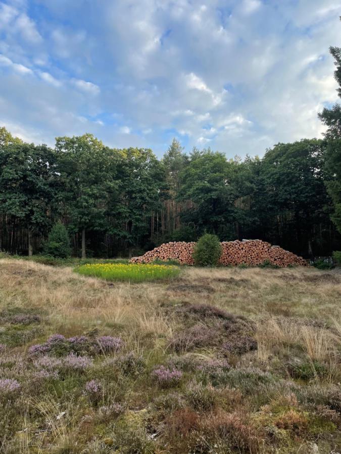 Wapen Van Exloo Eksteriør bilde